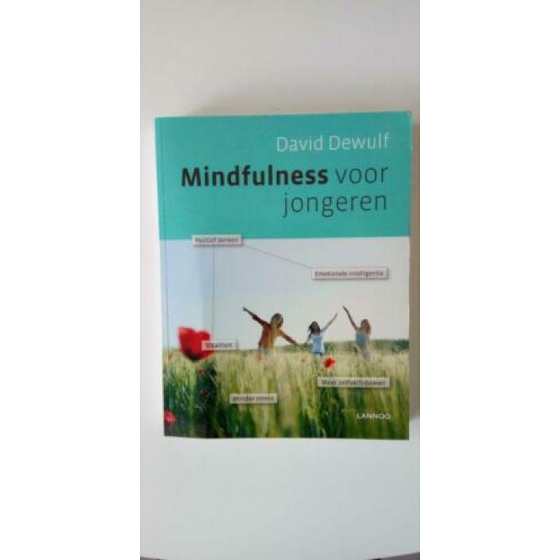 boek Mindfulness voor jongeren D. Dewulf