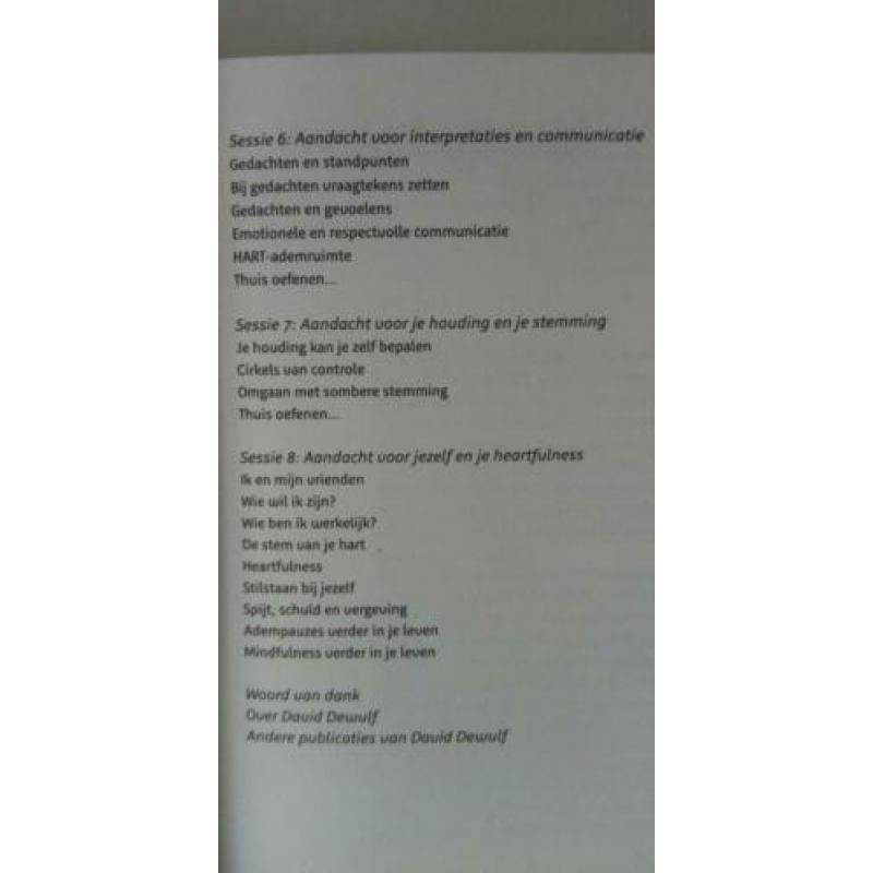 boek Mindfulness voor jongeren D. Dewulf