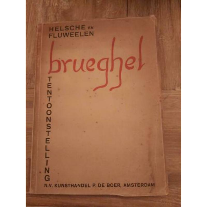 Boek van Brueghel tentoonstelling