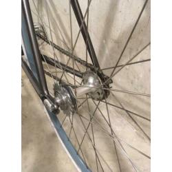 Specialized Roll 2 Single speed
