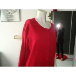 Mk12 TERRE BLEUE ZGAN MOOI KATOEN ROOD SPORTIEF VEST 44