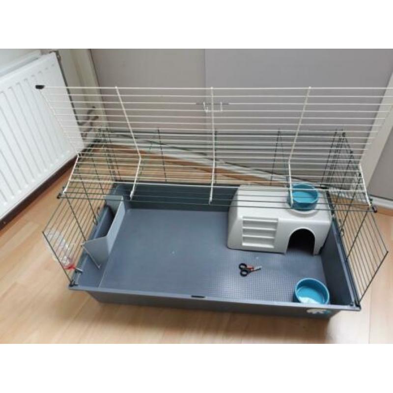 cavia kooi