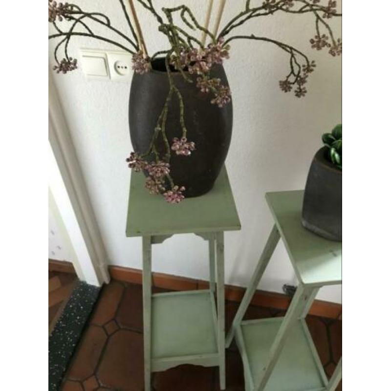 2 oude plantentafeltjes