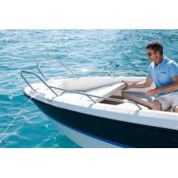 QuickSilver 455 (bj 2020)