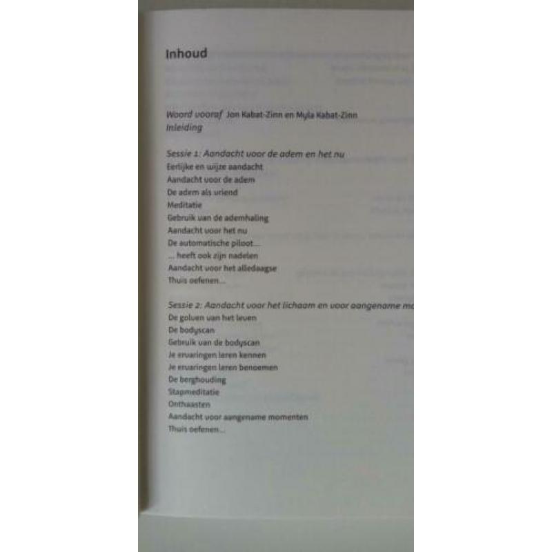 boek Mindfulness voor jongeren D. Dewulf