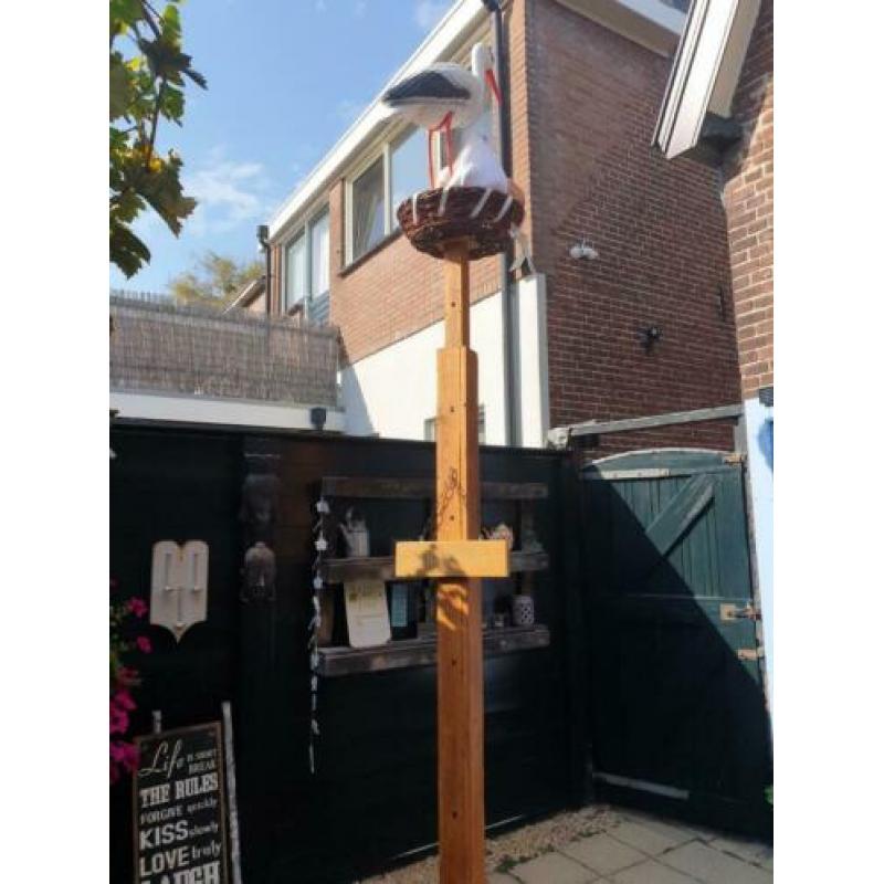 Te koop, 2 geboorte ooievaars.