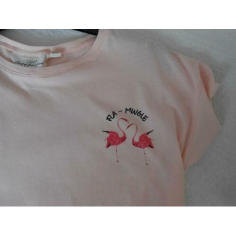 Leuk shirtje maat XS van H&M met flamingo's