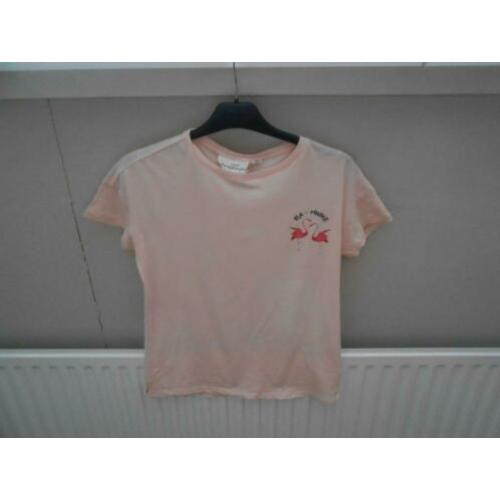 Leuk shirtje maat XS van H&M met flamingo's