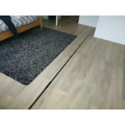 Karperhengel 12ft 2.75lb!