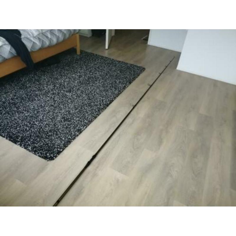 Karperhengel 12ft 2.75lb!
