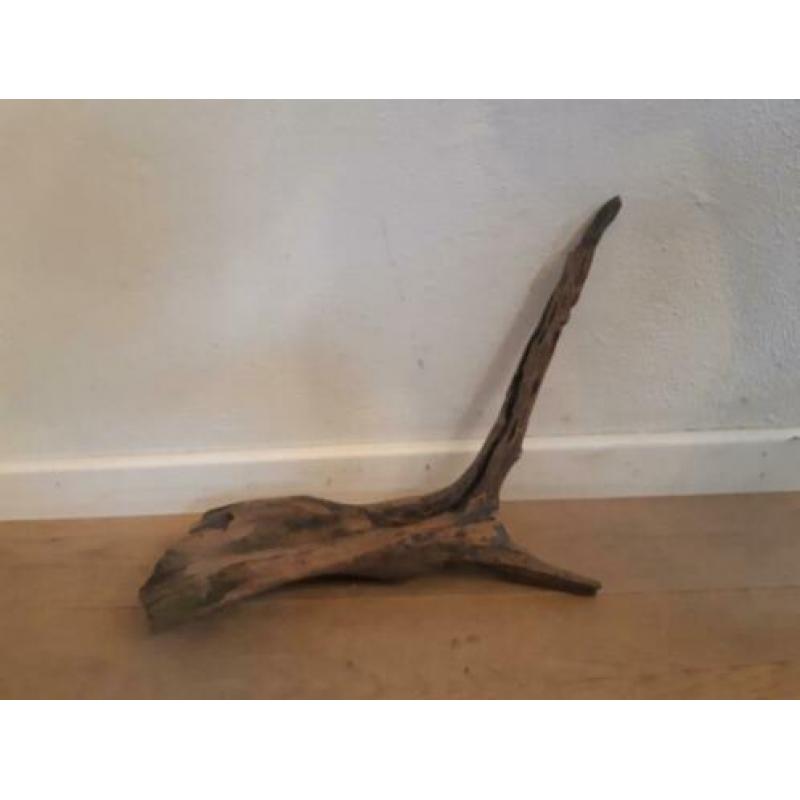 Uniek gevormd stuk kienhout! 15€