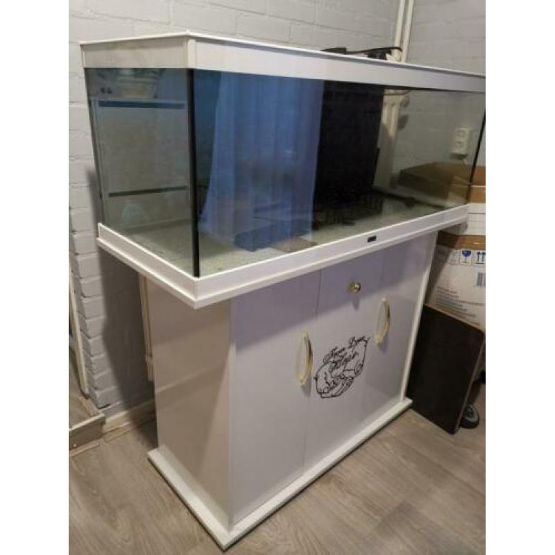 Aqualantis aquarium
