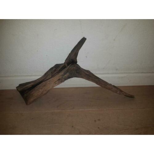 Uniek gevormd stuk kienhout! 15€
