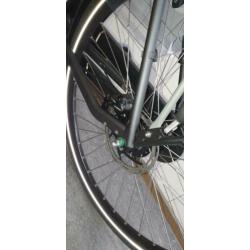 Batavus finez 2020 model