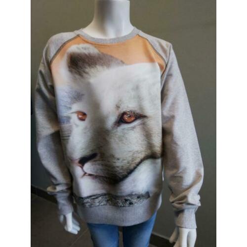 *Nieuw* trui Wild 134/140