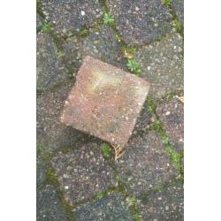 koppelstones