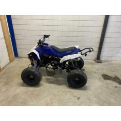 Quad 125 cc