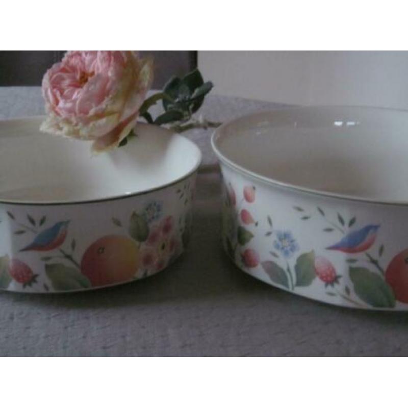 2 Villeroy & Boch Gallo Orangerie Groente Schalen Design