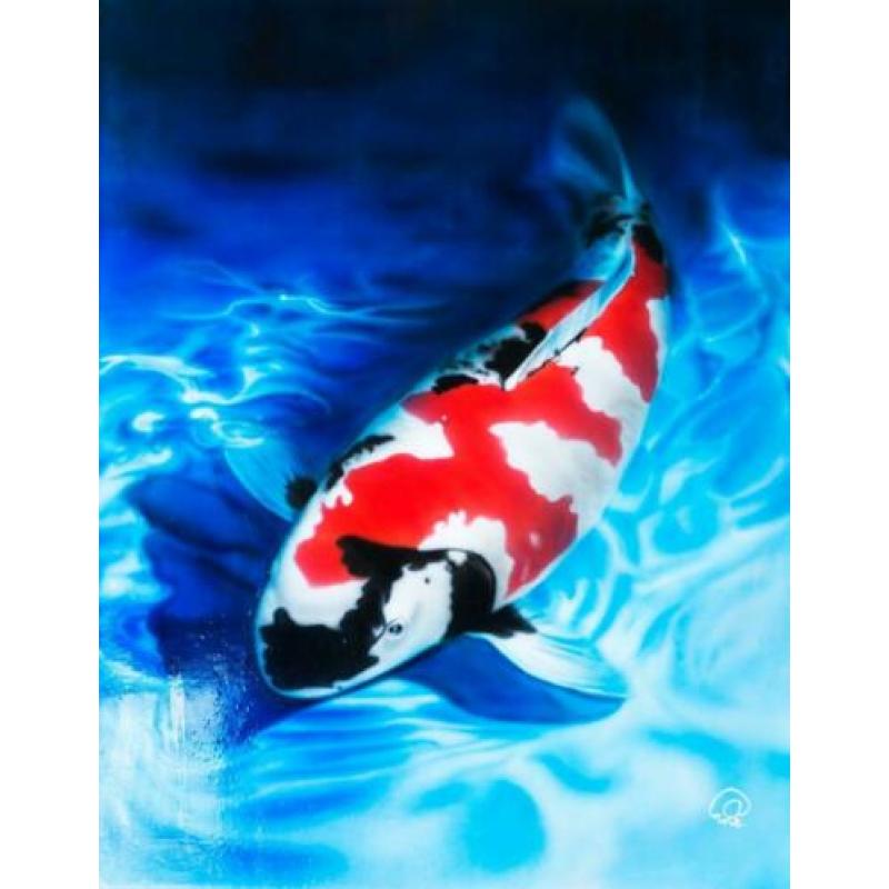 Diverse Airbrush Schilderijen te koop