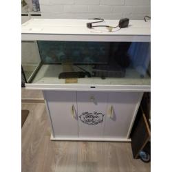 Aqualantis aquarium