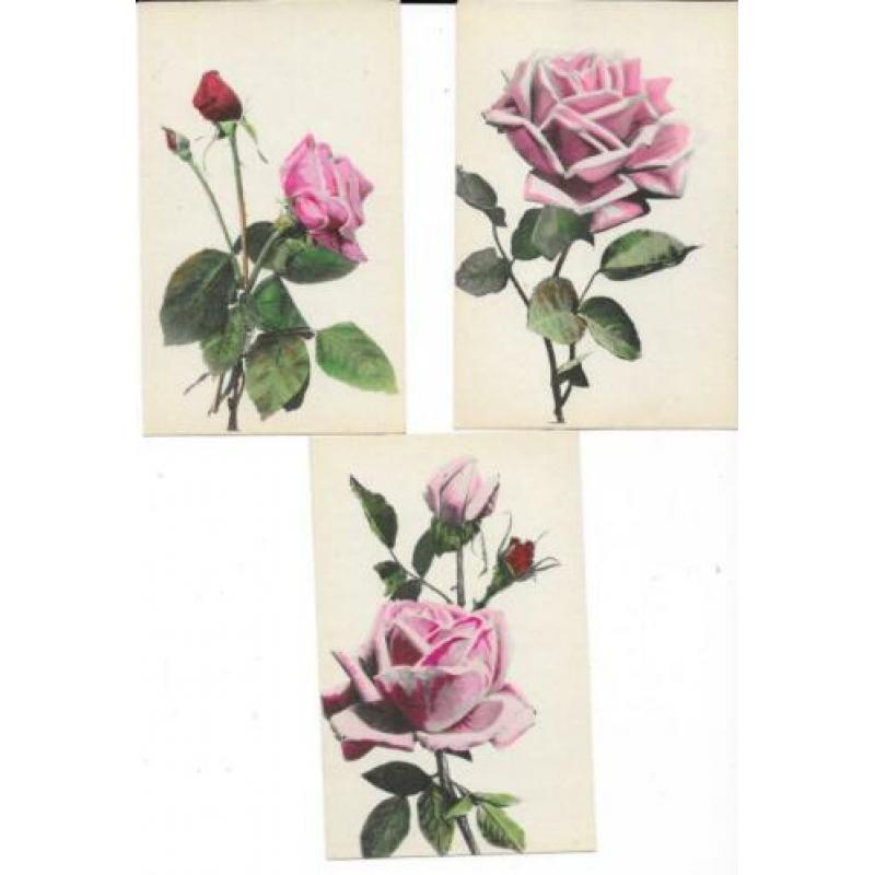 22 bloemen kaarten uit de jaren 20-30 allen blanco achterzij