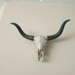 Buffel schedel