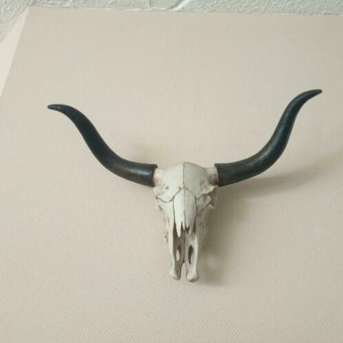 Buffel schedel