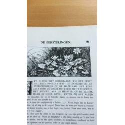 JAC. P. Thijsse LENTE -ZOMER-HERFST-WINTER Verkadealbums