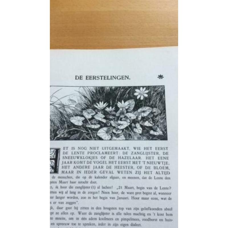 JAC. P. Thijsse LENTE -ZOMER-HERFST-WINTER Verkadealbums