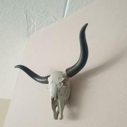 Buffel schedel