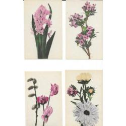 22 bloemen kaarten uit de jaren 20-30 allen blanco achterzij