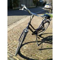 Gazelle Avignon