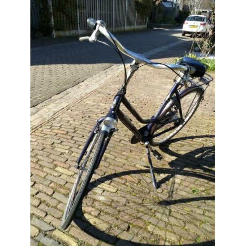 Gazelle Avignon