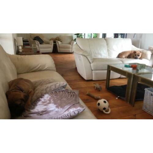 2 leren stoelen en 1 bank Ikea type Alvros