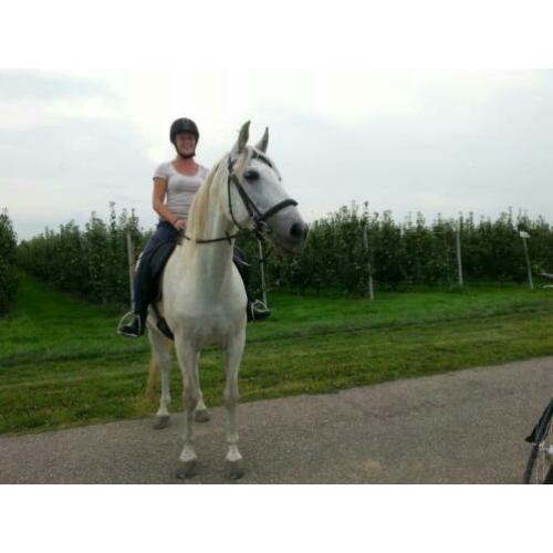 Super lieve, brave ruin!
