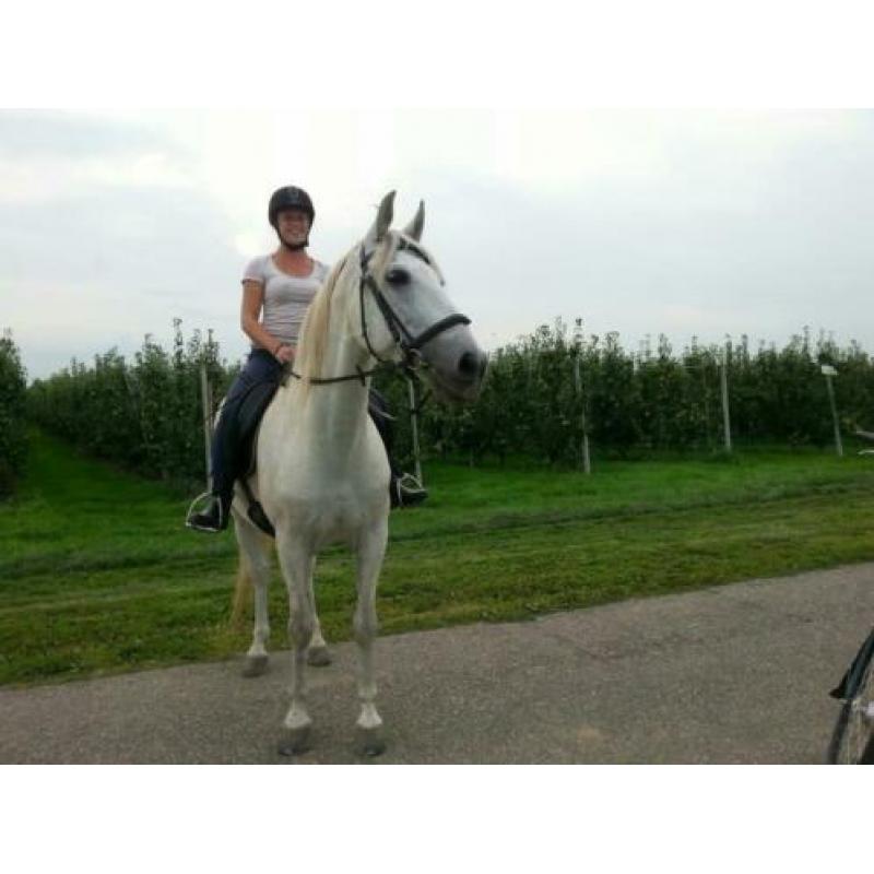 Super lieve, brave ruin!