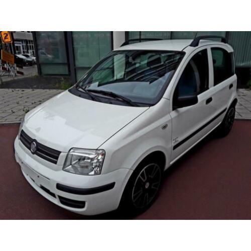 Fiat Panda 1.2 Edizione Cool Black & White Edition