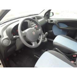 Fiat Panda 1.2 Edizione Cool Black & White Edition
