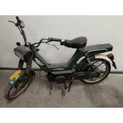 berini kinetic