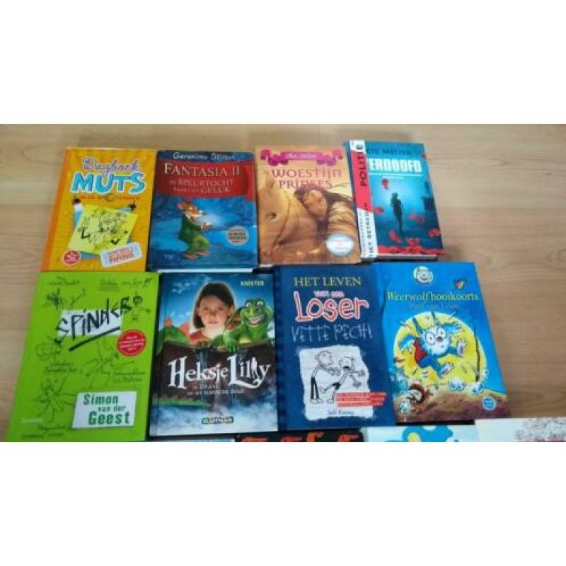 13 kinderboeken-Dagboek van een muts 3-Fantasia -Heksje Lily