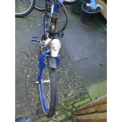 batavus snake 22 inch