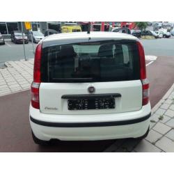 Fiat Panda 1.2 Edizione Cool Black & White Edition