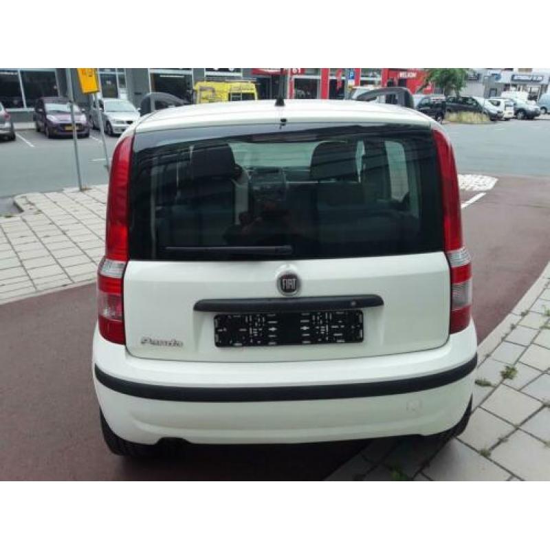 Fiat Panda 1.2 Edizione Cool Black & White Edition