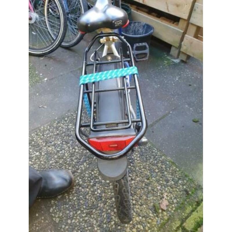 batavus snake 22 inch