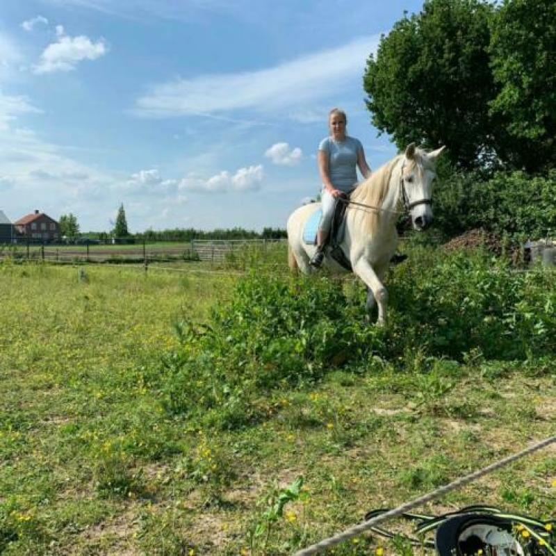 Super lieve, brave ruin!