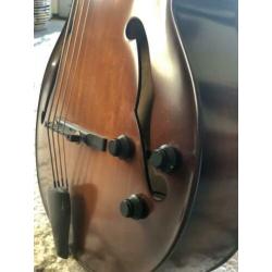 Super mooie semi akoestische fretloze jazz Landscape bas