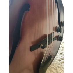 Super mooie semi akoestische fretloze jazz Landscape bas