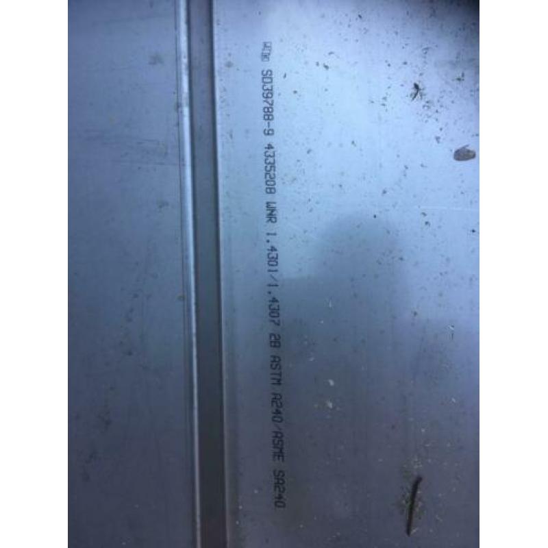 Rvs Platen (grote maten)