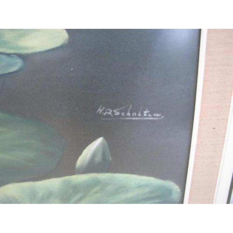 7401 - #kunst #waterlelies #glas HR Scholten #pastel - €75