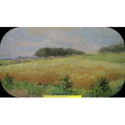 9573 - aquarel in lijst landschap met berken - € 45